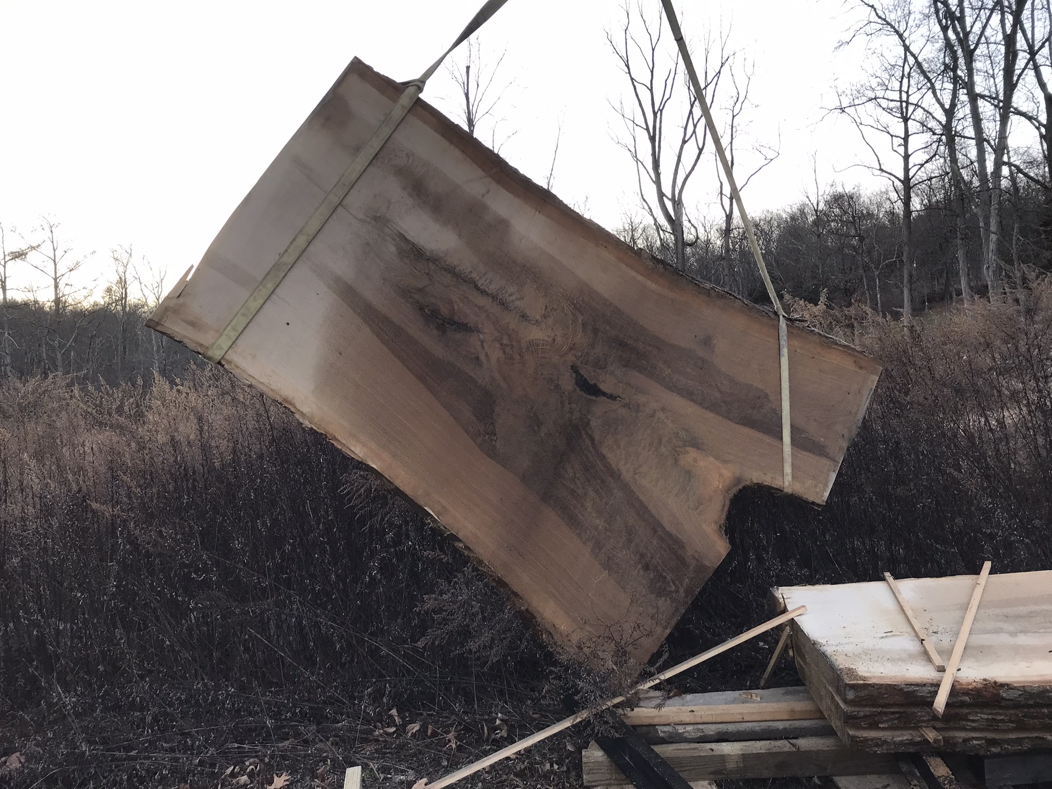 Oak slab
