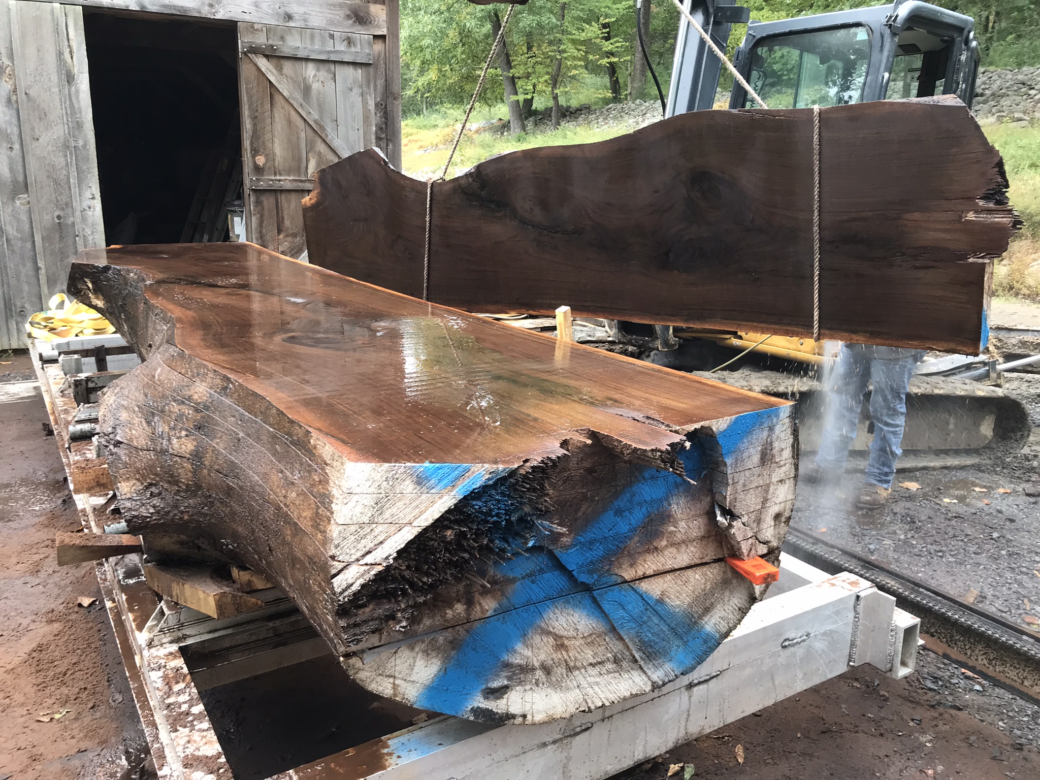 Walnut slab